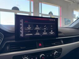
										AUDI A4 AVANT 2.0 35 TDI BUSINESS S TRONIC mild hybrid full									