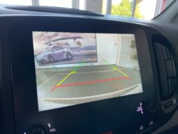 
										Fiat 500L 1.3 Multijet 95 CV Connect full									